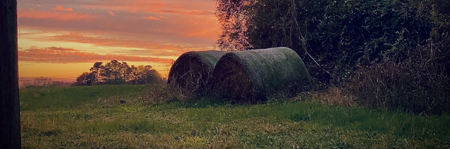 Georgia Jerker banner
