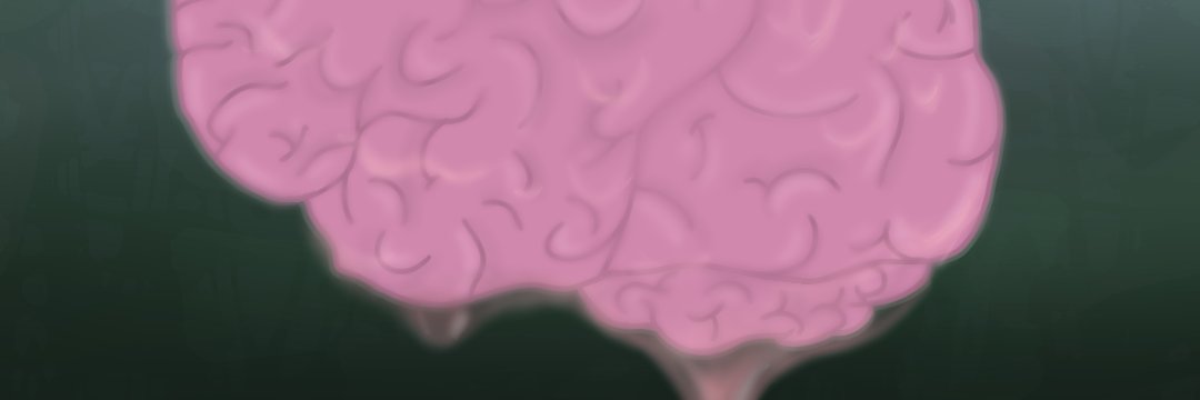 ExtractBrain's profile banner image