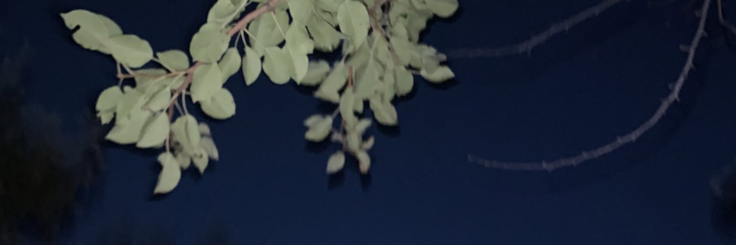 chikibry's profile banner image