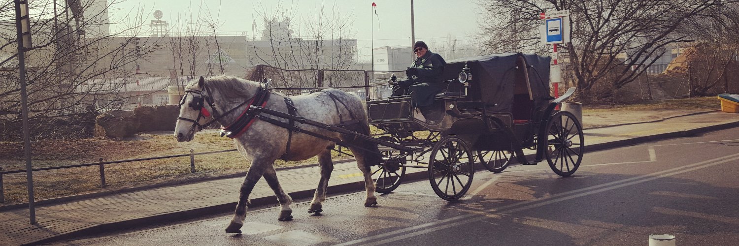 Veronika | Copywriter & Messaging Strategist banner