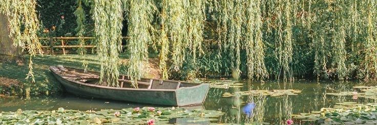 cuntyconcept's profile banner image