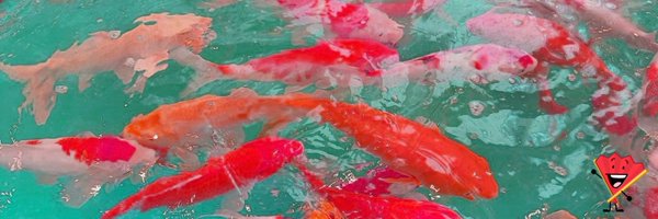 0xywave Profile Banner