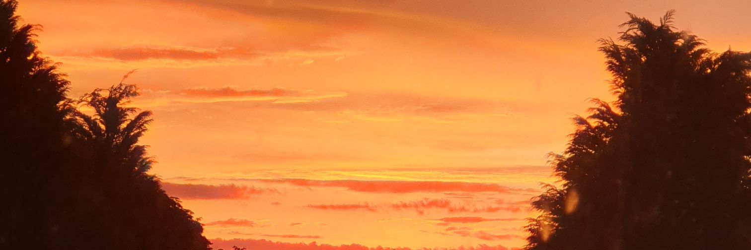 AlohaFromLauraa's profile banner image