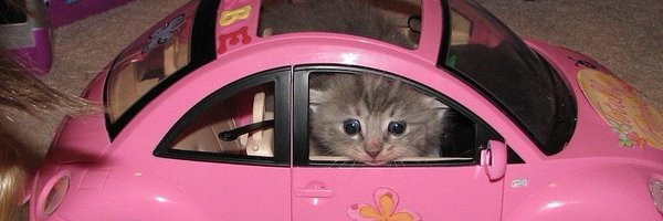 alinnalin7 Profile Banner