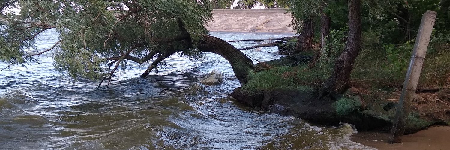 Fearless Nft🐍😈 banner