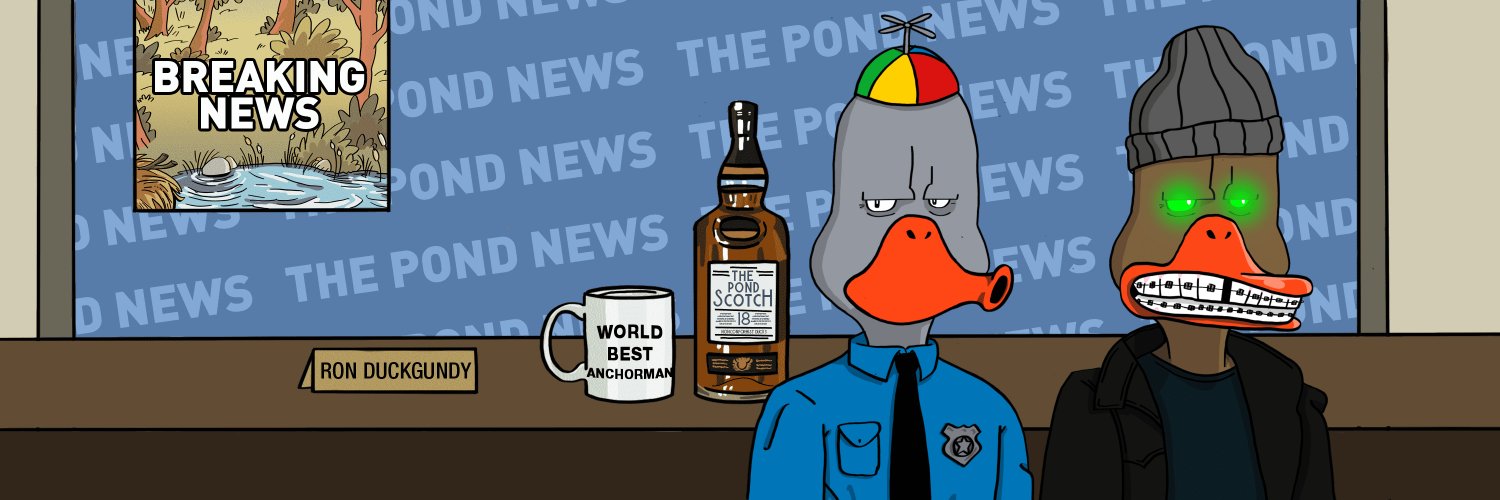 ZNG 🐡🦆 banner