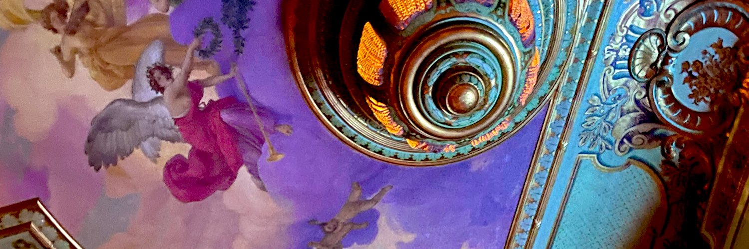 cappibaras's profile banner image