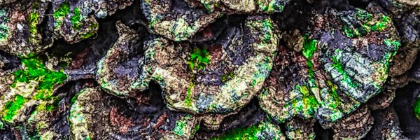 VitaliyGing Profile Banner