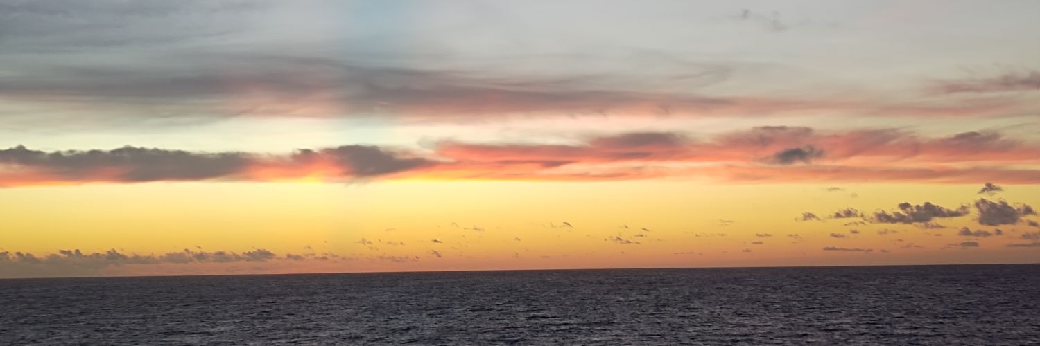 mckingjp's profile banner image