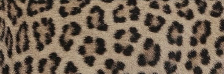 barbarabillyyy's profile banner image