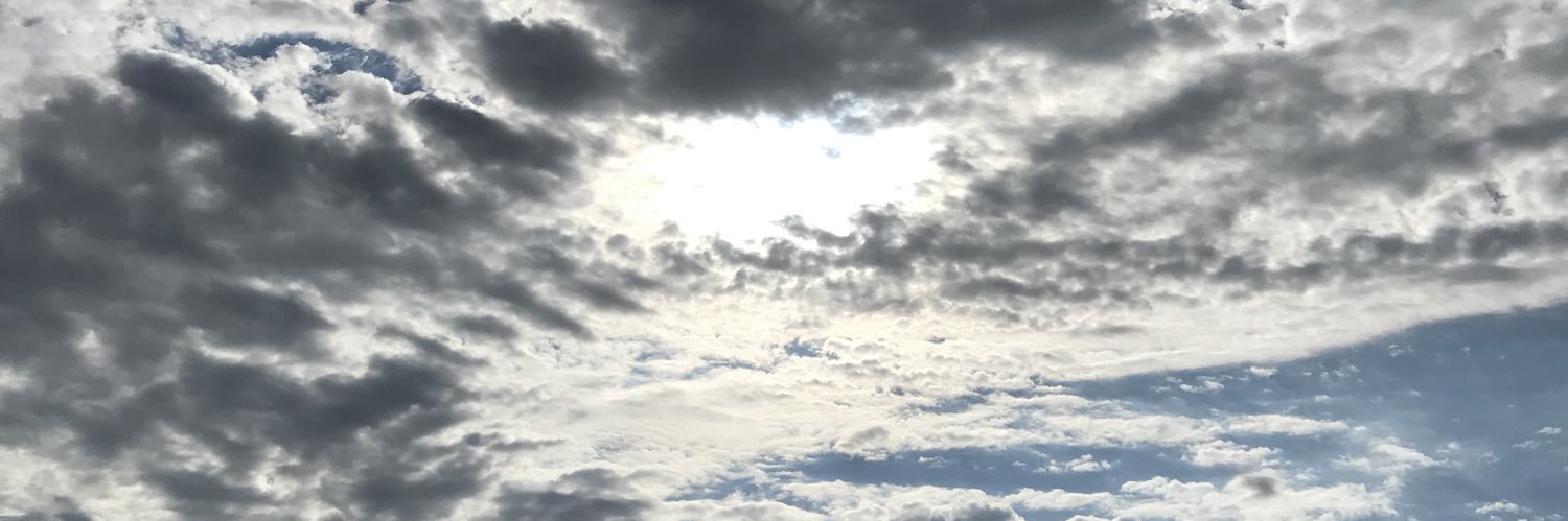 老司机在路上 banner