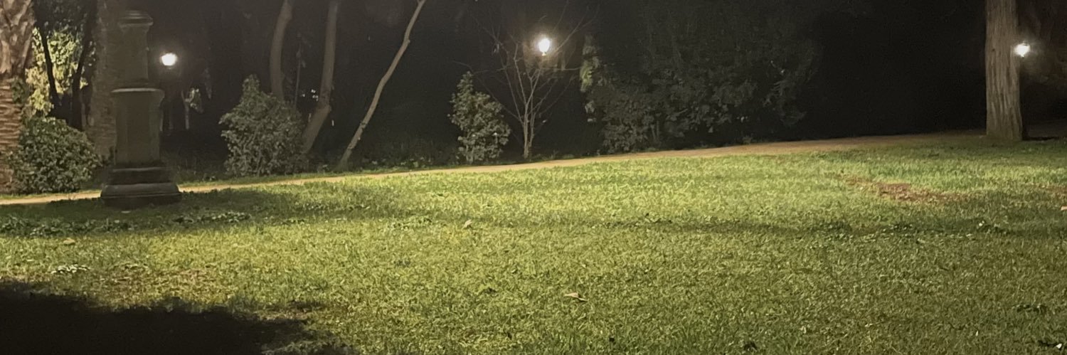 dev's banner