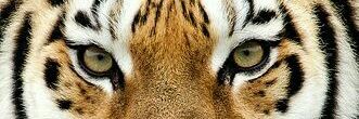 El_OtroAlan's profile banner image