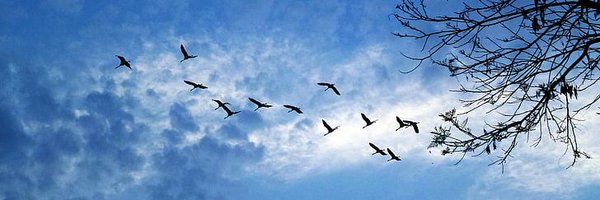 FreeThinkers_I Profile Banner