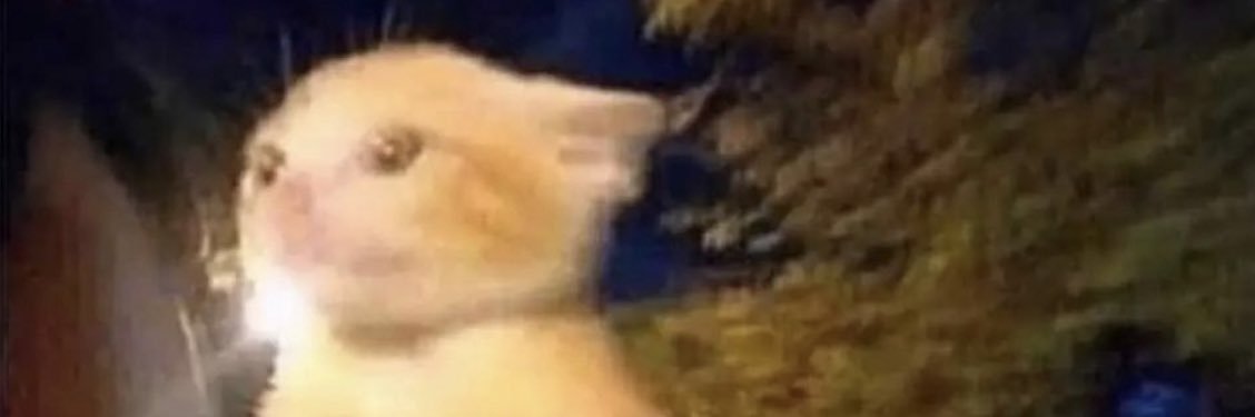 JaredYounger6's profile banner image