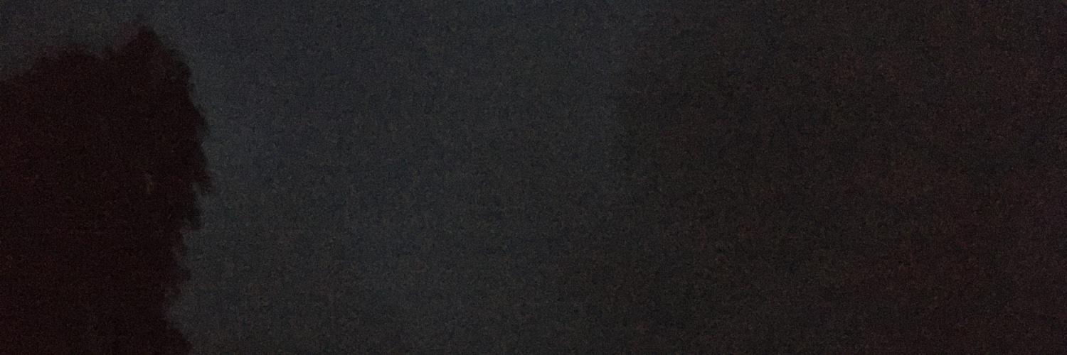 🌐's banner