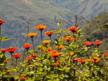 Marram_estrella's profile banner image