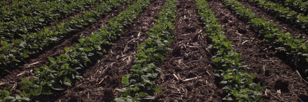 MoserLuke Profile Banner