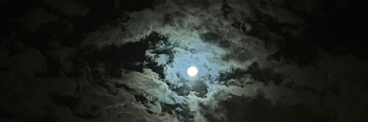 Roz_zx's profile banner image