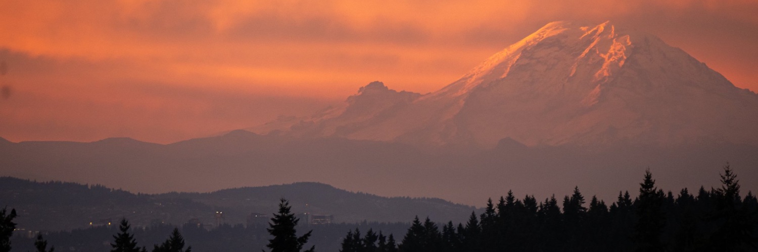 Benjamin Curtis banner