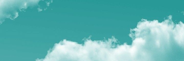 Кошковый ус banner