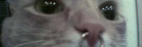 she_es_star Profile Banner