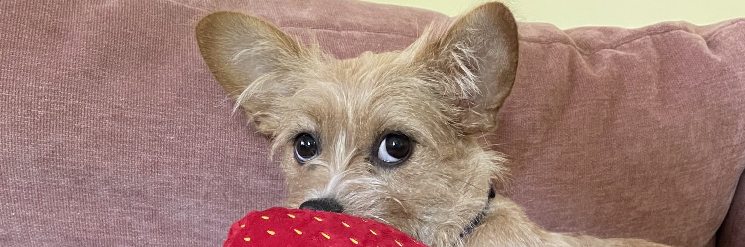 margaritahoe's profile banner image