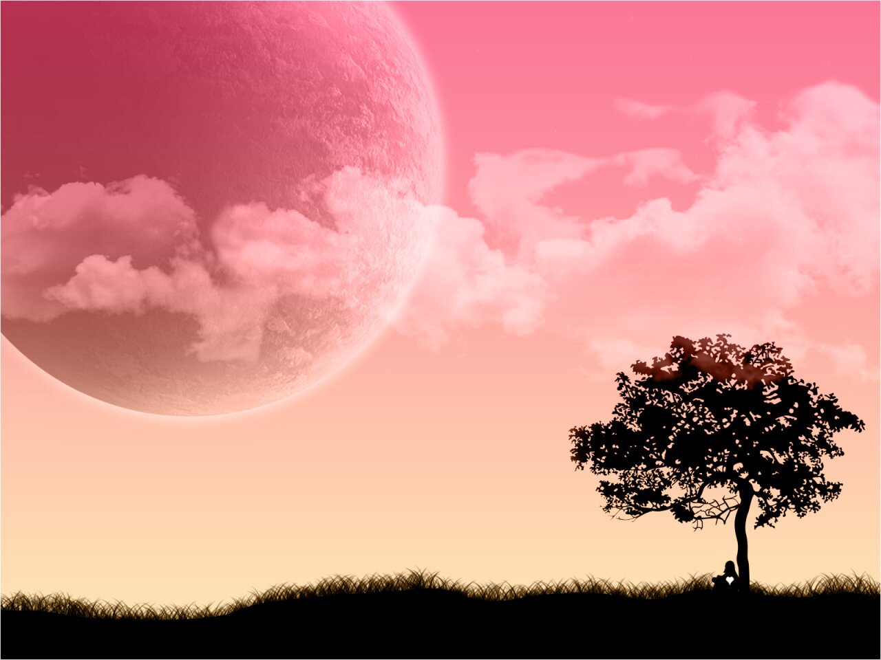 Kazakke's profile banner image