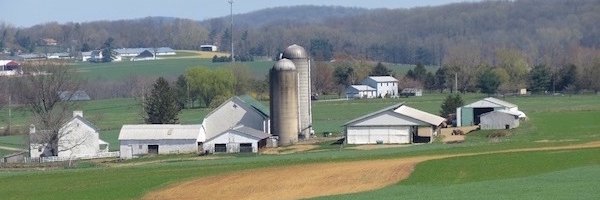 Conebella Farm banner