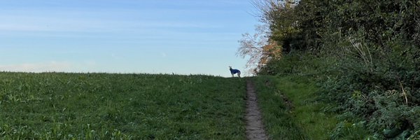 samanthadaytime Profile Banner