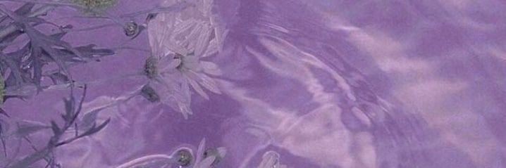 RuRuRubyyyyy's profile banner image