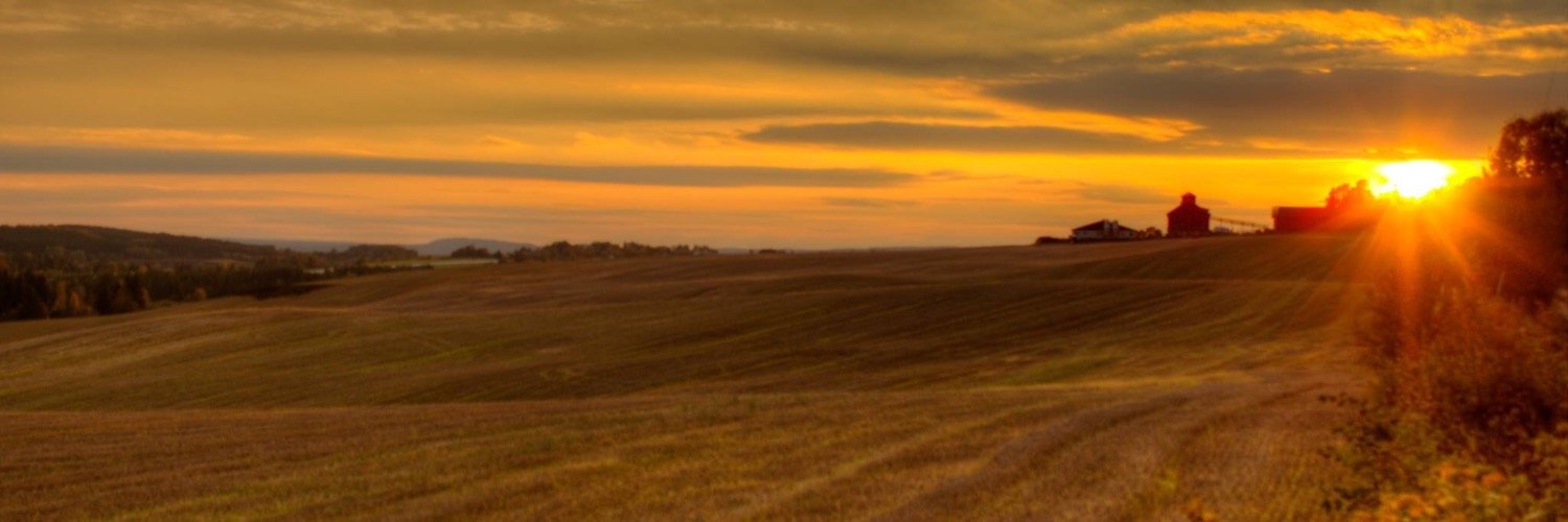 knutty's profile banner image