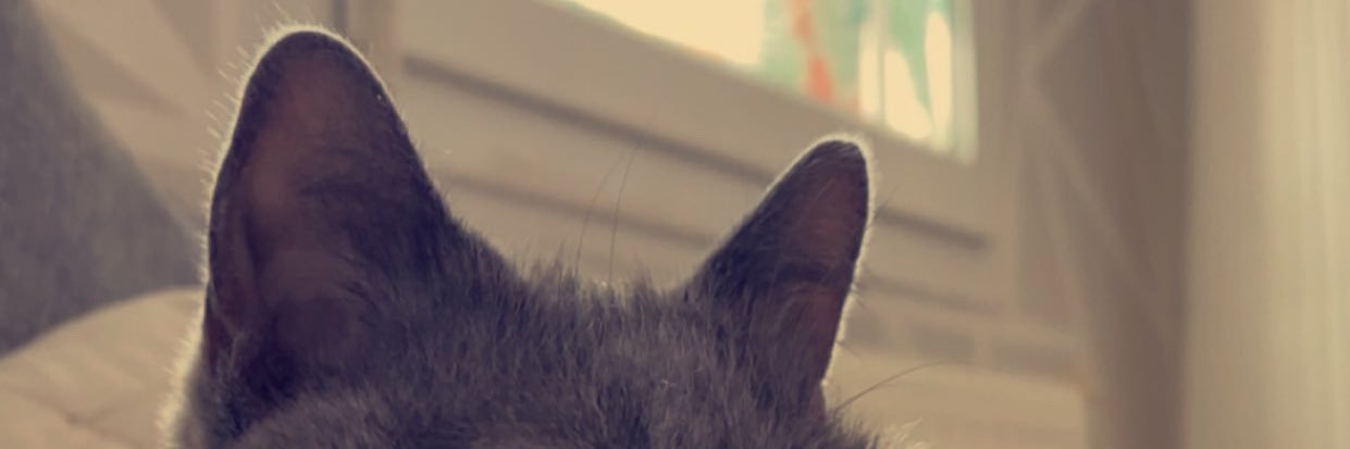 jade ᥫᩣ banner