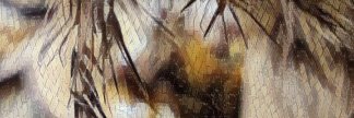 Layndro banner