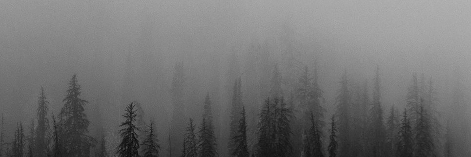 joshomok's profile banner image