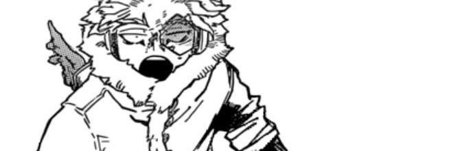 N. banner