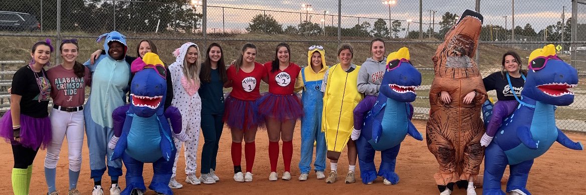 Crushers Dorgan banner