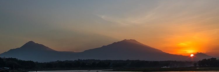 Dicky Tinton | 私の名前はディッキーです banner