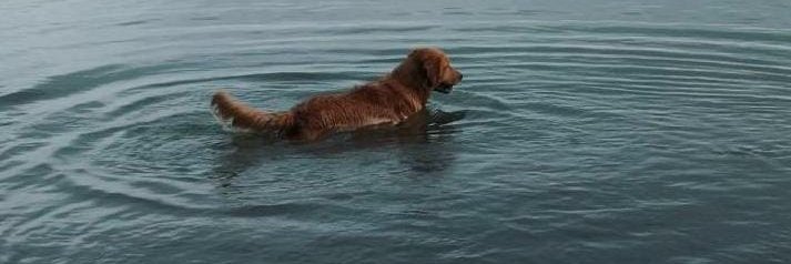 0xFlashClay 🧪 Building Alkanes banner