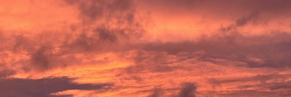 LaurieLaybourn Profile Banner