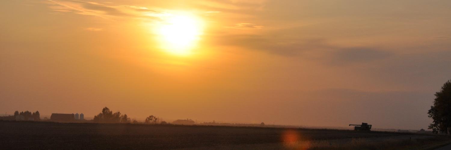 TracyRimmer's profile banner image