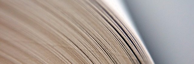 Juergen Plieninger banner