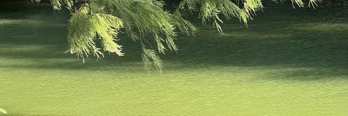 7benken's profile banner image