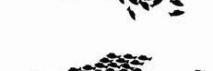 ojfs's profile banner image