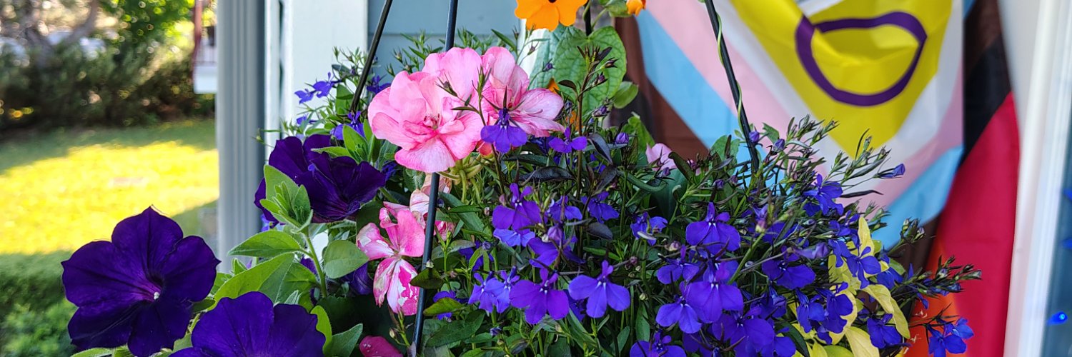 Susanne Dragon banner