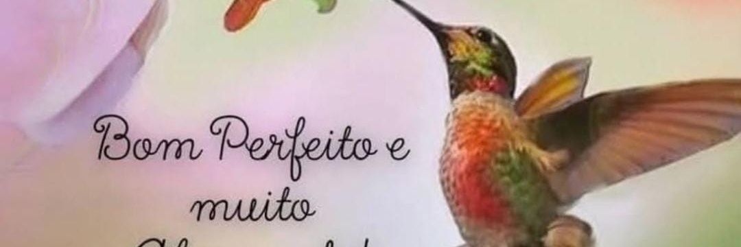 Leleyaspes 💞 banner