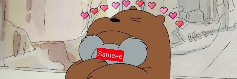 NSBS._ banner