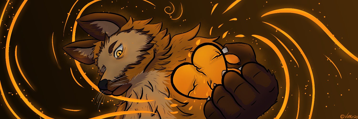 Vekz banner