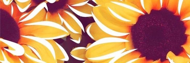 Miss_Seronda's profile banner image