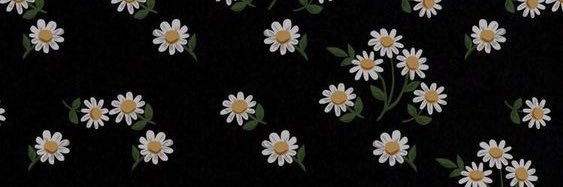 เจด banner